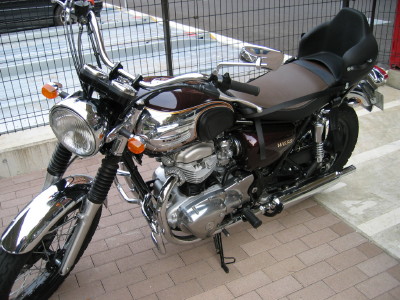 stamatakis02