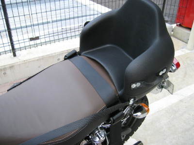 stamatakis04