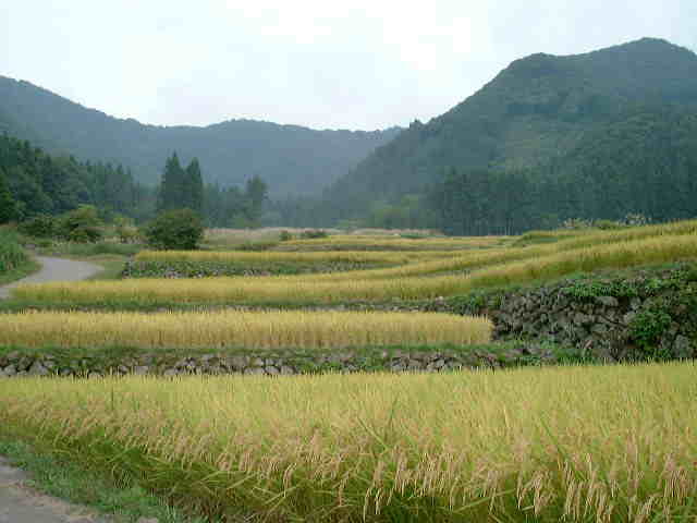 ishidakitanada