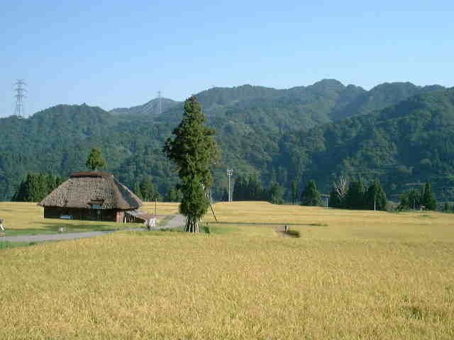 kiyotsukyotanada