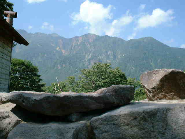 noyosa