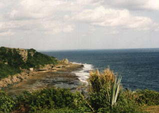 ���a�F�O�������